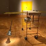 Professor Anna Campbell presents her work and talk at Lawrence University